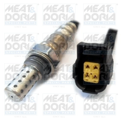Oxygen Sensor